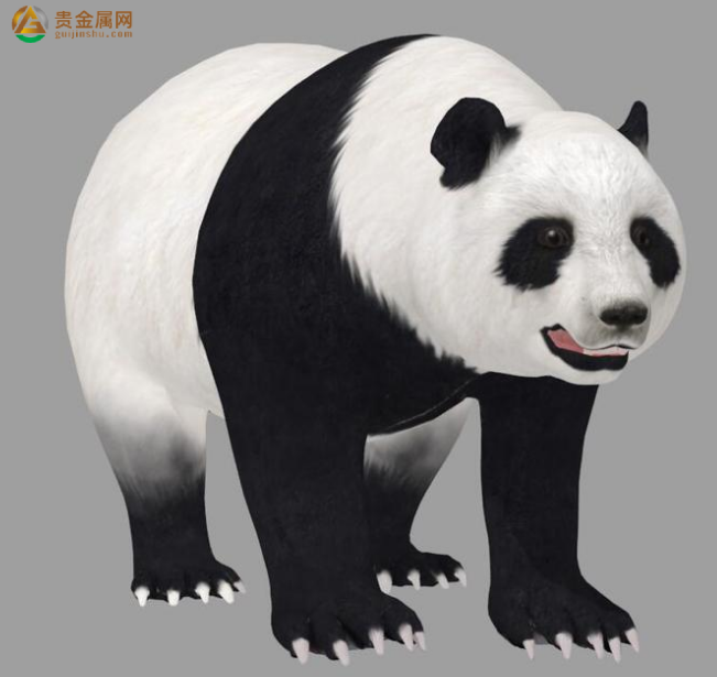 国宝大熊猫作文z1.jpg